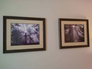 lot 48 image: Trees in Sunshine Pictures