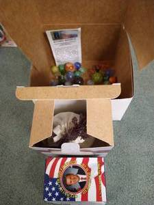 lot 257 image: Small Game & Marbles Lot