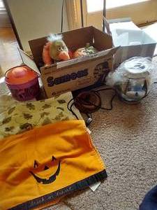 lot 367 image: Fall Decor Lot With Scentsy Warmer