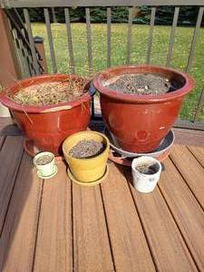 lot 403 image: (2) Large Pots  Smaller Pots