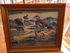 lot 556 image: Coastal Birds Painting