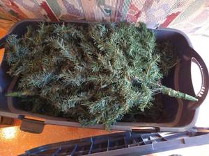 lot 597 image: Pre-lit Multi-Colored Tree