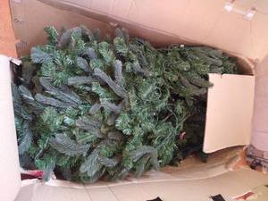 lot 611 image: Pre-lit Nordmann Fir