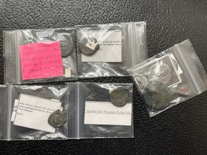 Ancient Coins GreekSicily