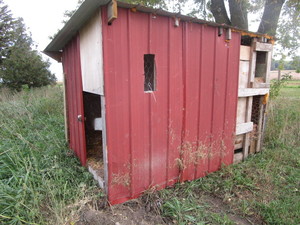 Chicken coop, approx 7ft x 9ft x 6-...
