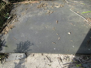Rubber mat 48 x 72 x 1-58...