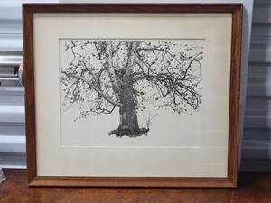 lot 57 image: Stunning Fine Art Botanical Print - Birch