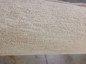 Cream Carpet 118x10