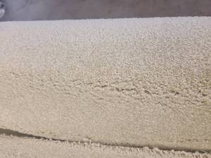 Beige Carpet 12x109