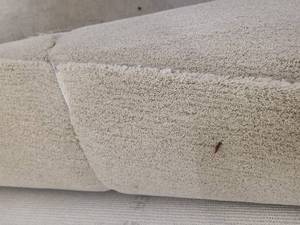 Seagrass Carpet 54x12