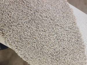 Khaki Carpet 12x20