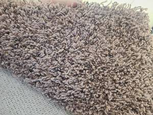 Light Brown Carpet 12x20