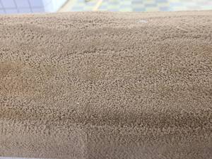 Light BrownMocha Carpet 12x12