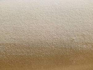 Seagrass Carpet 12x23