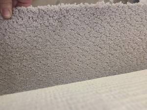 Cream Carpet 12x38