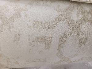 Cream with Tan Design Carpet 610x121