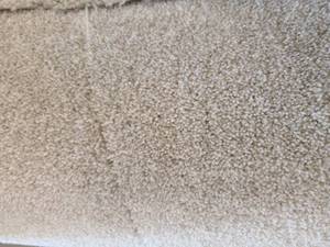 Khaki Carpet 52x22