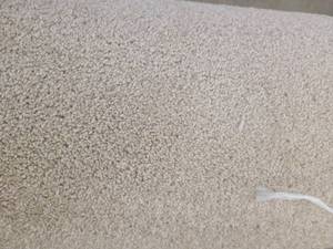 Cream Carpet 74x12