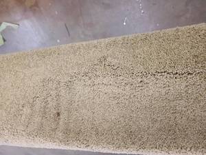 Mocha Carpet 113x10