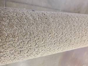Khaki Carpet 12x103