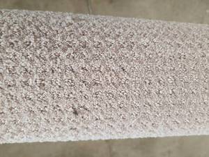 Rockwood Sawdust Carpet 8x67