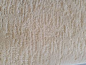 Tan Carpet 710x8