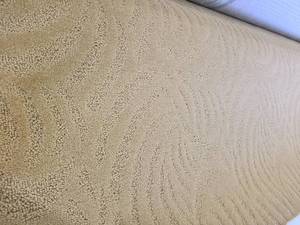 Light Brown Carpet 12x245