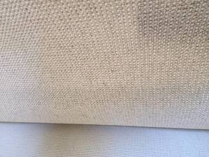 Light Tan Carpet 12x20