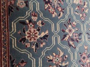 Oriental Classic Area Rug 57x83