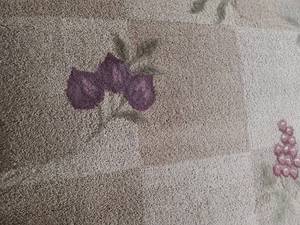 Fresh Fruit  Beige Area Rug 56x86