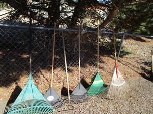 Rakes