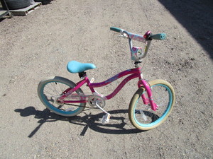 Girls 20 Bike
