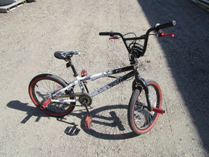 Boys 20 Bike