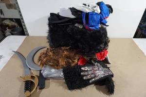 lot 225 image: Assorted Halloween Dcor and Costume Accessories - Look Through All Pictures