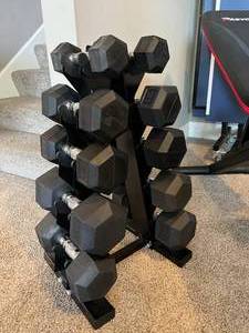 Set of Hand Weights and Stand