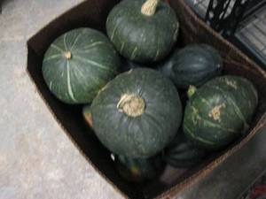 12 Bushel Box of Winter Squash...