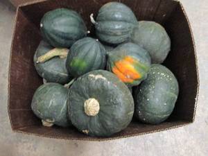 12 Bushel Box of Winter Squash...
