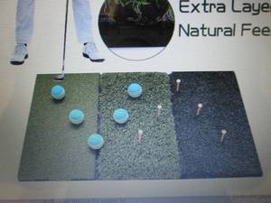 Running Raccoon TriTurf Golf Practi...
