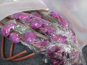 2 pks Long Stemmed Purple Tulips...