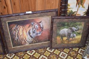 Wild life pictures