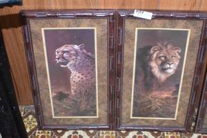Wild life pictures