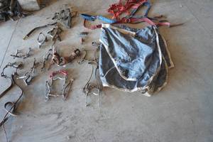 lot 14 image: Horse Tack