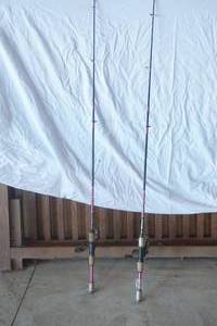 lot 34 image: Fishing Rods