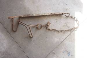 lot 174 image: Not a Clue