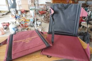 lot 337 image: U of M Sports Event Cushions