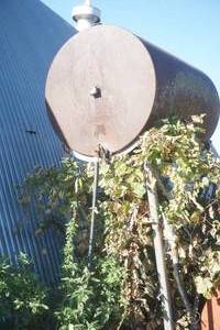 lot 388 image: 250 Gallon fuel barrel w stand
