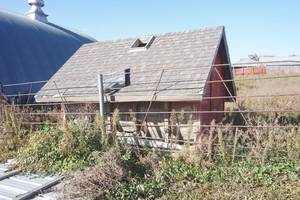 lot 390 image: Feed storage feeder 14x8x10ft tall