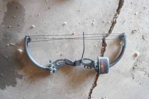 lot 395 image: kids compound bow