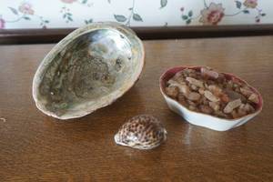 lot 458 image: Large Seashell and other