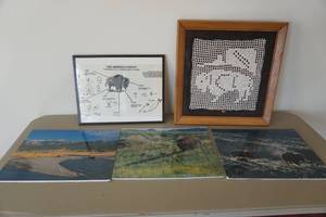 lot 627 image: Knit Bison on hide-Bison Decor